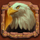 colt lightning eagle symbol icon