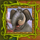 continent africa powerpoints elephant symbol icon