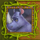 continent africa powerpoints rhino symbol icon
