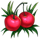 copacabana treasures dice cherries symbol icon