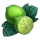 copacabana treasures limes mint symbol icon