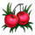 copacabana treasures red cherries symbol icon