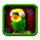 copy cat fortune parrot symbol icon