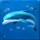coral reef flexiways dolphin symbol icon