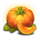 country farming pumpkin symbol icon