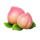 cp games fa cai peach symbol icon