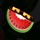 crazy starter watermelon symbol icon