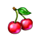 crazy wild fruits cherry symbol icon
