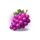 crown of fortune purple grapes symbol icon