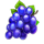 crown of secret grapes symbol icon
