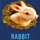 crystal forest rabbit symbol icon