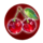 crystal fruits cherry symbol icon