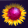 crystal lotus sunflower symbol icon