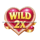 cupids cash wild symbol icon