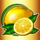 dancing bananas lemon symbol icon