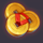 dancing lanters coins symbol icon