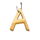 danludans fortune bass a symbol icon