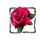 dark hearts rose symbol icon