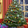 deck the halls christmastree symbol icon