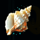 deep sea fortune shell symbol icon