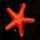 deep sea fortune star symbol icon