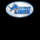 detroit lions deluxe wild symbol icon