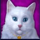 diamond cats cat symbol 1 icon