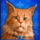 diamond cats cat symbol 2 icon