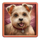 diamond doggies dog 3 symbol icon