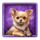 diamond doggies dog 4 symbol icon