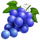 diamond joker links grapes symbol icon