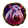 diamond king gorilla hipo symbol icon