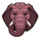 diamond of jungle elephant symbol icon