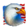diamonds of liberty eagle symbol icon