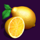 dice and roll lemon symbol icon