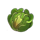 dick the farmer cabbage symbol icon