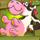 dick the farmer cow symbol icon