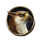 divine fortune gold gryphone symbol icon
