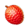 divine fruit lychee symbol icon