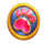 dog pound paw symbol icon