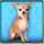 doggone lucky dog sitting symbol icon