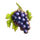 dolce far niente grapes symbol icon