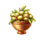 dolce far niente olives symbol icon
