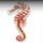 dolphin reef seahorse symbol icon