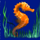 dolphins pearl deluxe seahorse symbol icon
