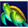dolphins wealth turtle symbol icon