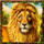 dorothys fairyland lion symbol icon