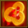double fortune panda coins symbol icon