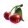 double jewel hold and win cherry symbol icon