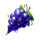 double jewel hold and win grapes symbol icon